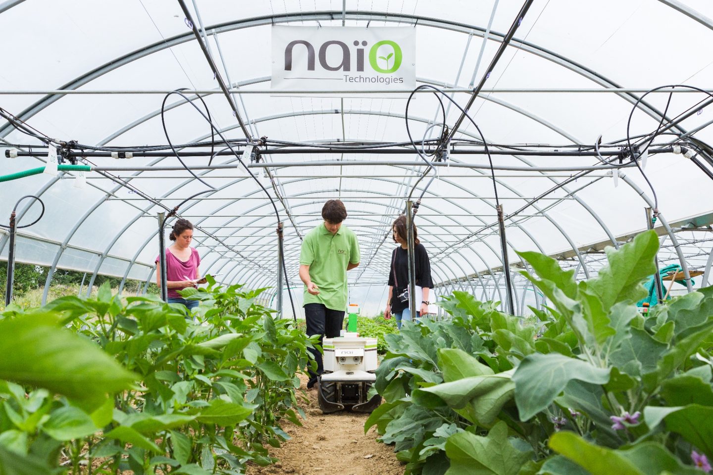 Sous une serre de maraîchage, un opérateur Naïo Technologies fait avancer un robot d'entretien entre les rangs de cultures, observé par deux utilisatrices prenant des notes